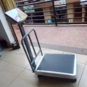 SJS 350kg Electronic Price Platform Scales