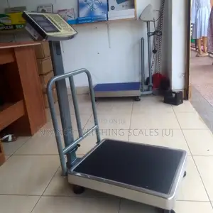 SJS 350kg Weighing Scale Nutrition Facts Weigh Platform Weighing Scale