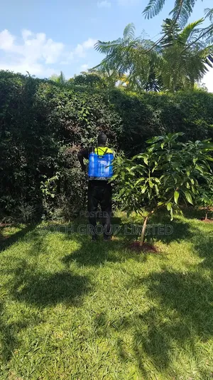 Fumigation Pest Control