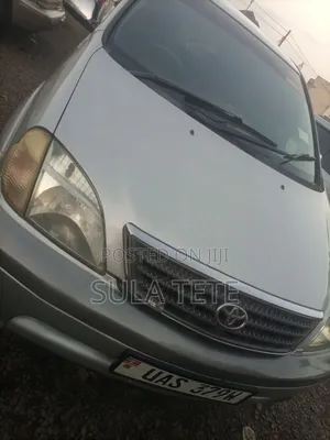 Toyota Nadia 2.0 135hp AWD 1999 Silver