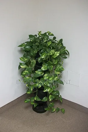 Office Plant Maintenance