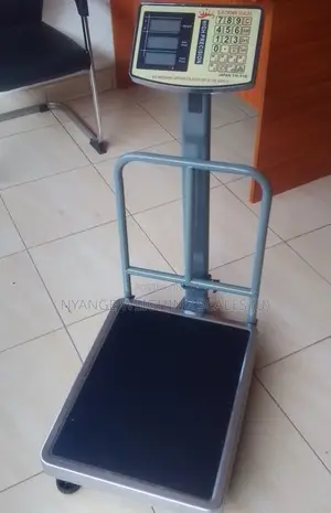 Good Quality Weigh Platform Weighing Scales 200kg Weighing Scale (5)