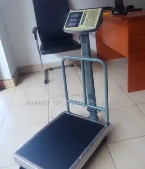 Platform Weigh Scale Industrial Weighing Scale 350kg/50g Weights (9)