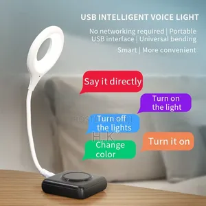 Zampam Intelligent Voice-Controlled Usb Lamp.