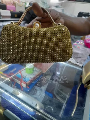 Good Looking Hand Bags for Women