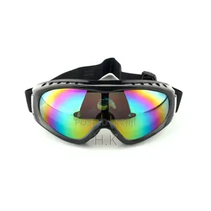 Ski Goggles
