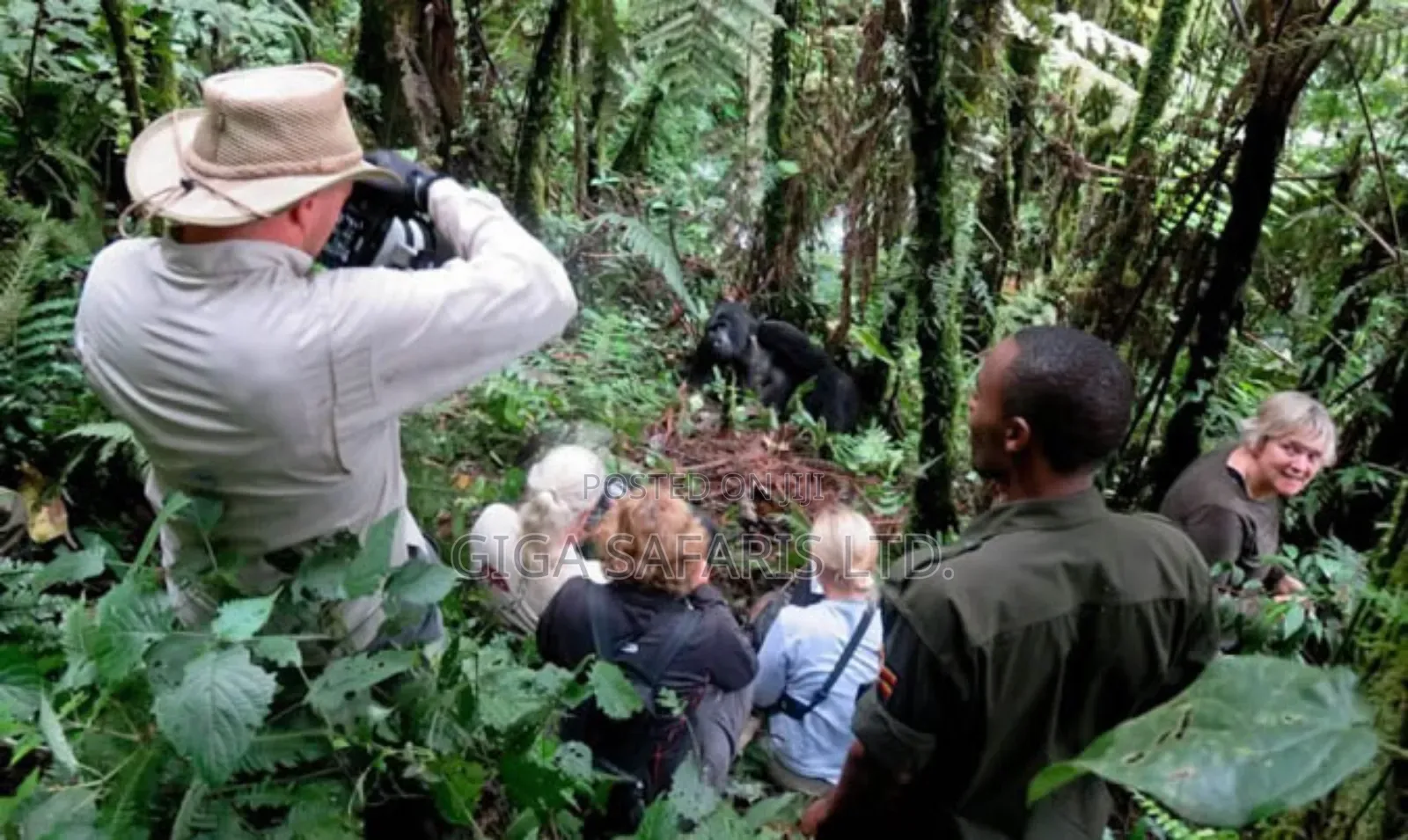 Giga Safaris Uganda Group of Company and Investments LTD