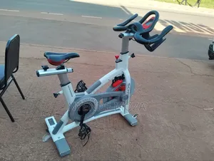 Schwinn Spinning Bike