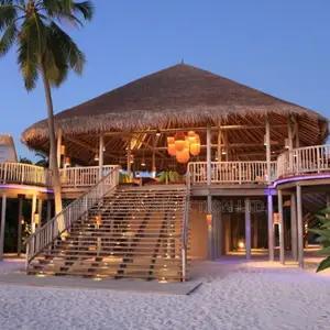 Luxury Bar Deco and Planing and Lighting