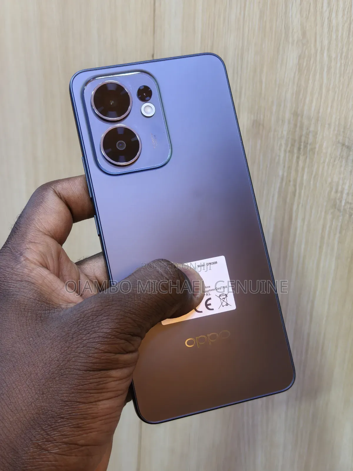 Oppo Reno13 F 256 GB Gray