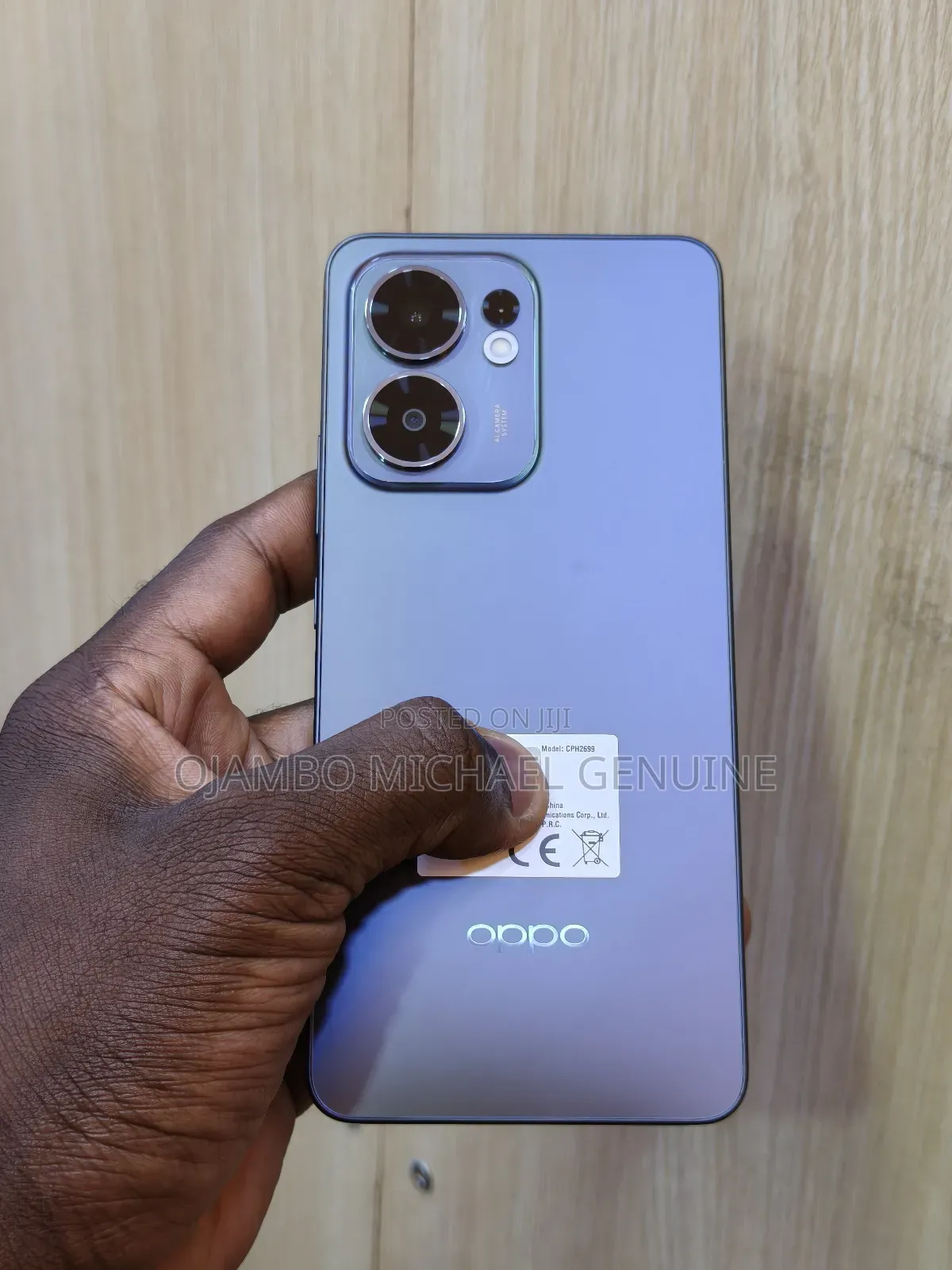 Oppo Reno13 F 256 GB Gray