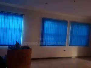 Curtain Blinds