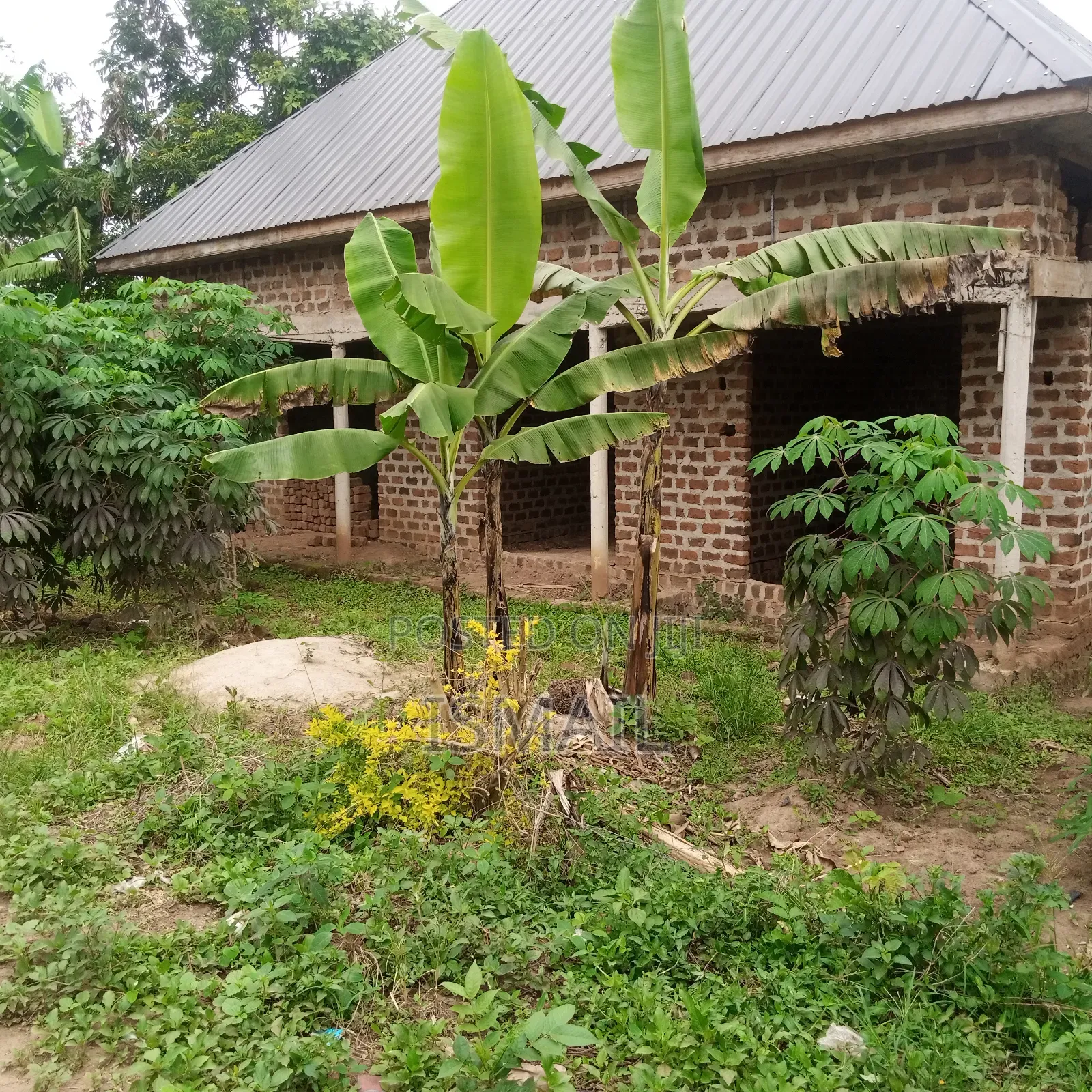 Plot at Matugga Kigogwa