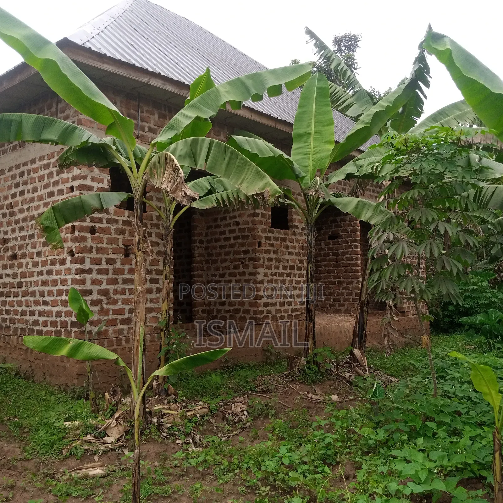 Plot at Matugga Kigogwa