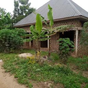 Plot at Matugga Kigogwa