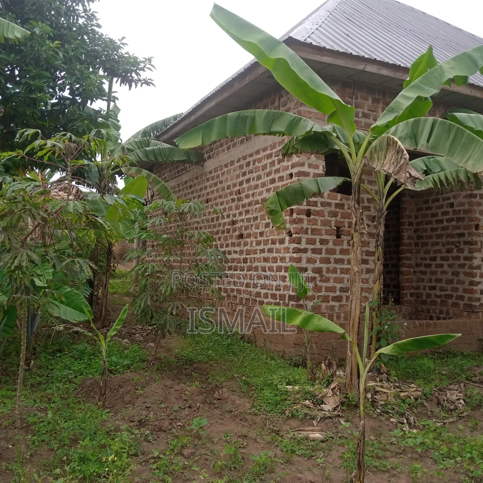 Plot at Matugga Kigogwa