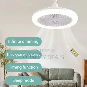 Led Multifunctional Fan Light