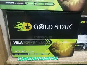 100ah Gold Star Battery New Arrival