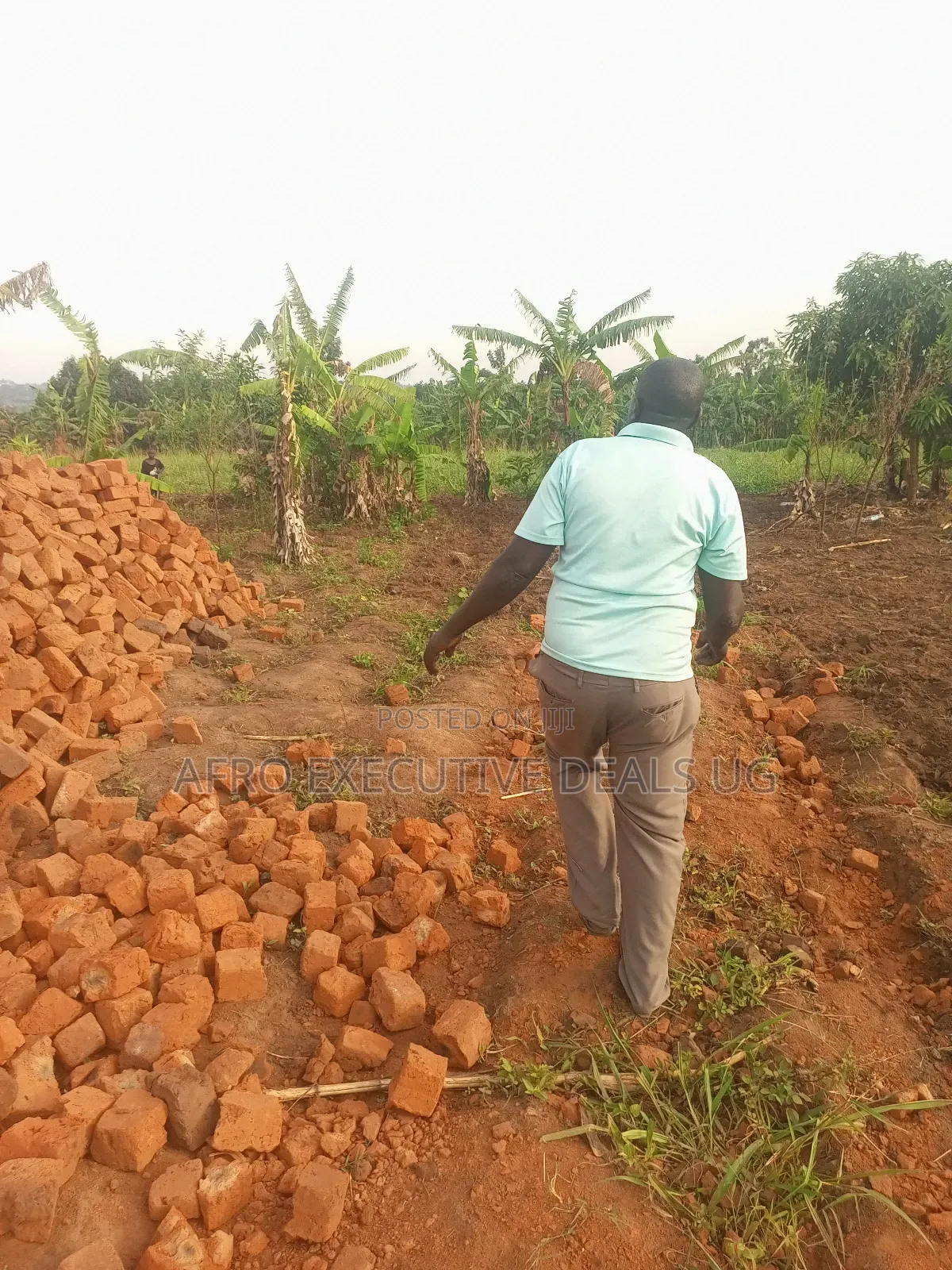50/100 Plots on Sale at Kampiringisa Kajjaga