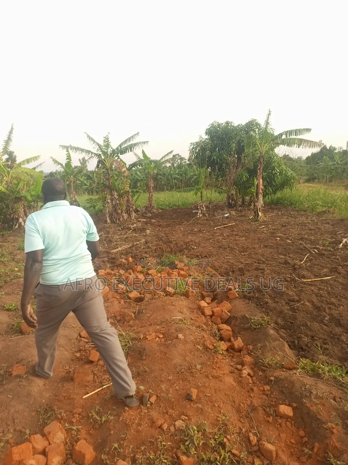 50/100 Plots on Sale at Kampiringisa Kajjaga