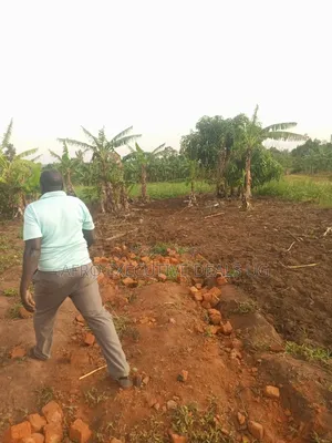 50/100 Plots on Sale at Kampiringisa Kajjaga