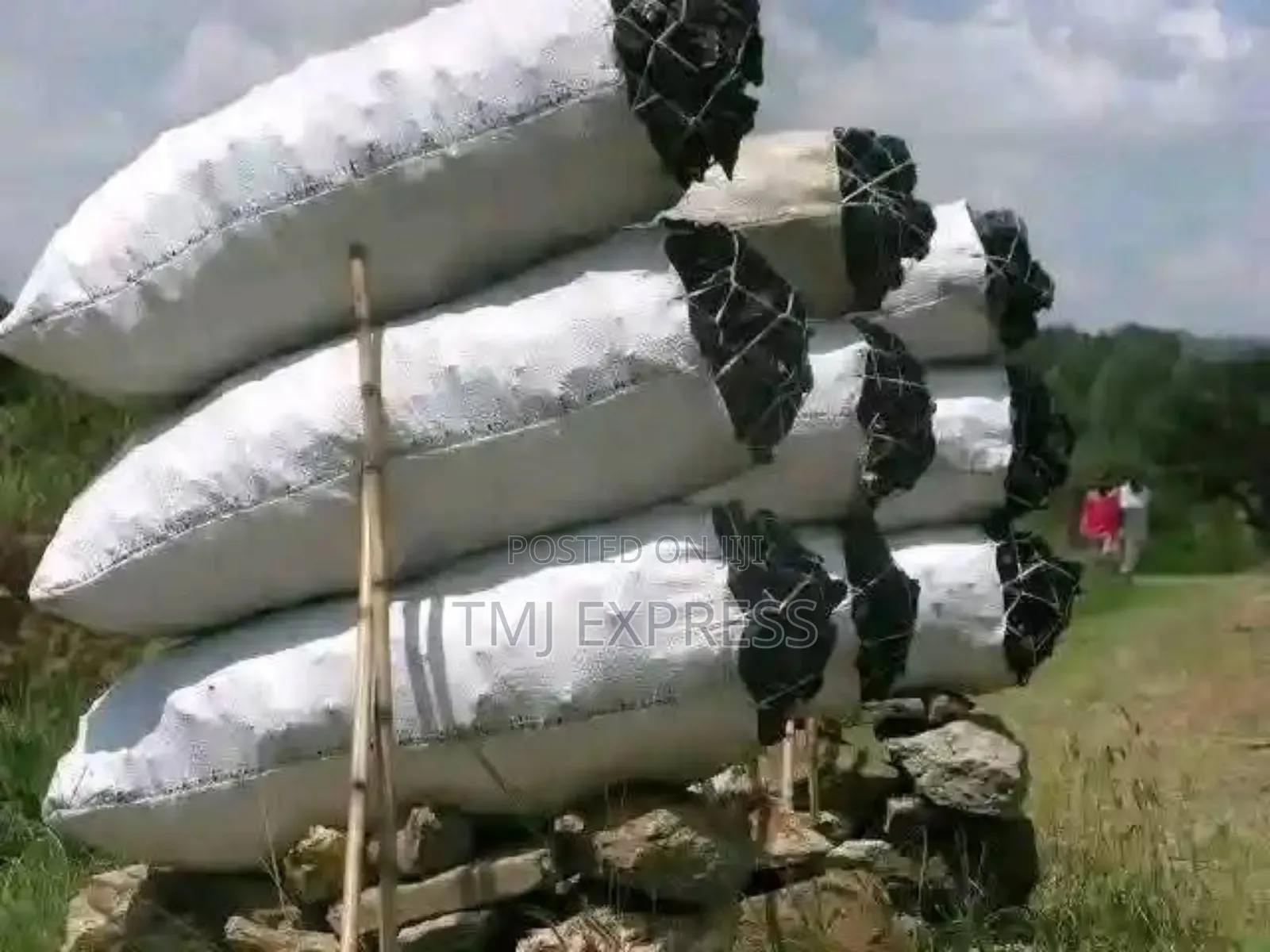 100 Kg Sack Good Quality Charchol