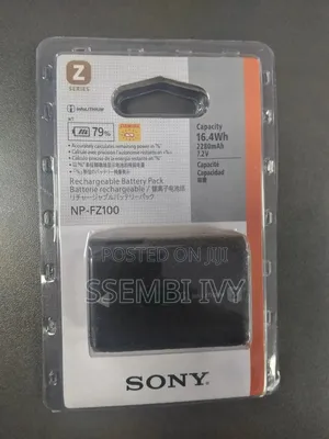 Sony Np-Fz100 Battery