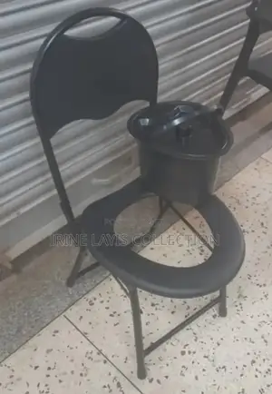 Adult Potty