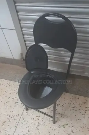Adult Potty Chair