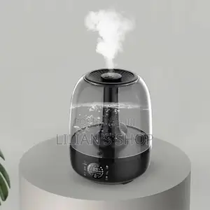4.8l Large Capacity Sonifer Sf-6524 Humidifier