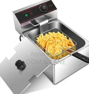 Pixel 6 Litres Commercial Deep Fryer Stainless Steel– Silver
