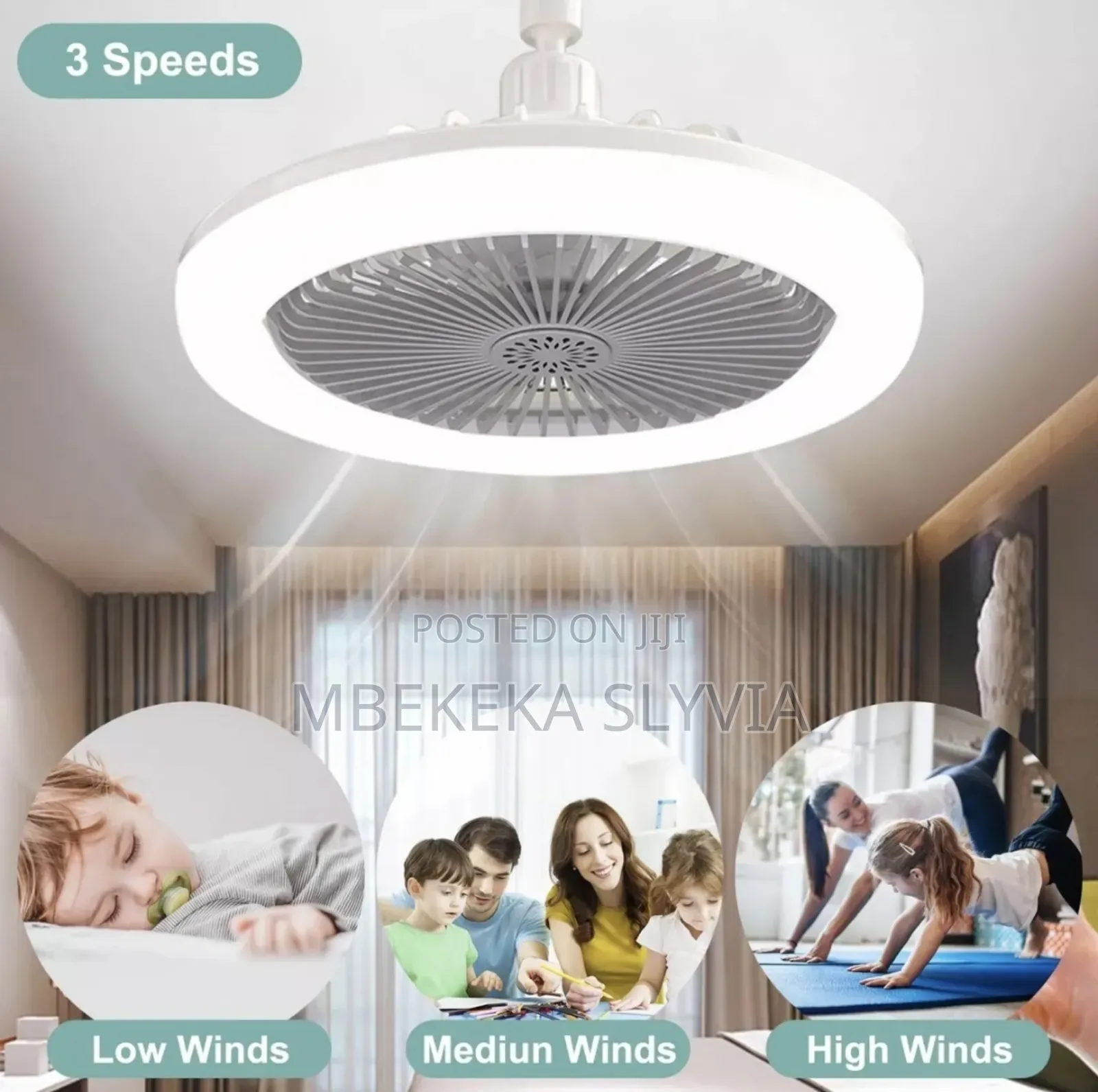 Bulb Fan/Ceiling Fan/Light Bulb With A Remote