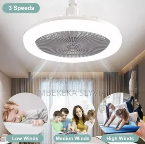 Bulb Fan/Ceiling Fan/Light Bulb With A Remote