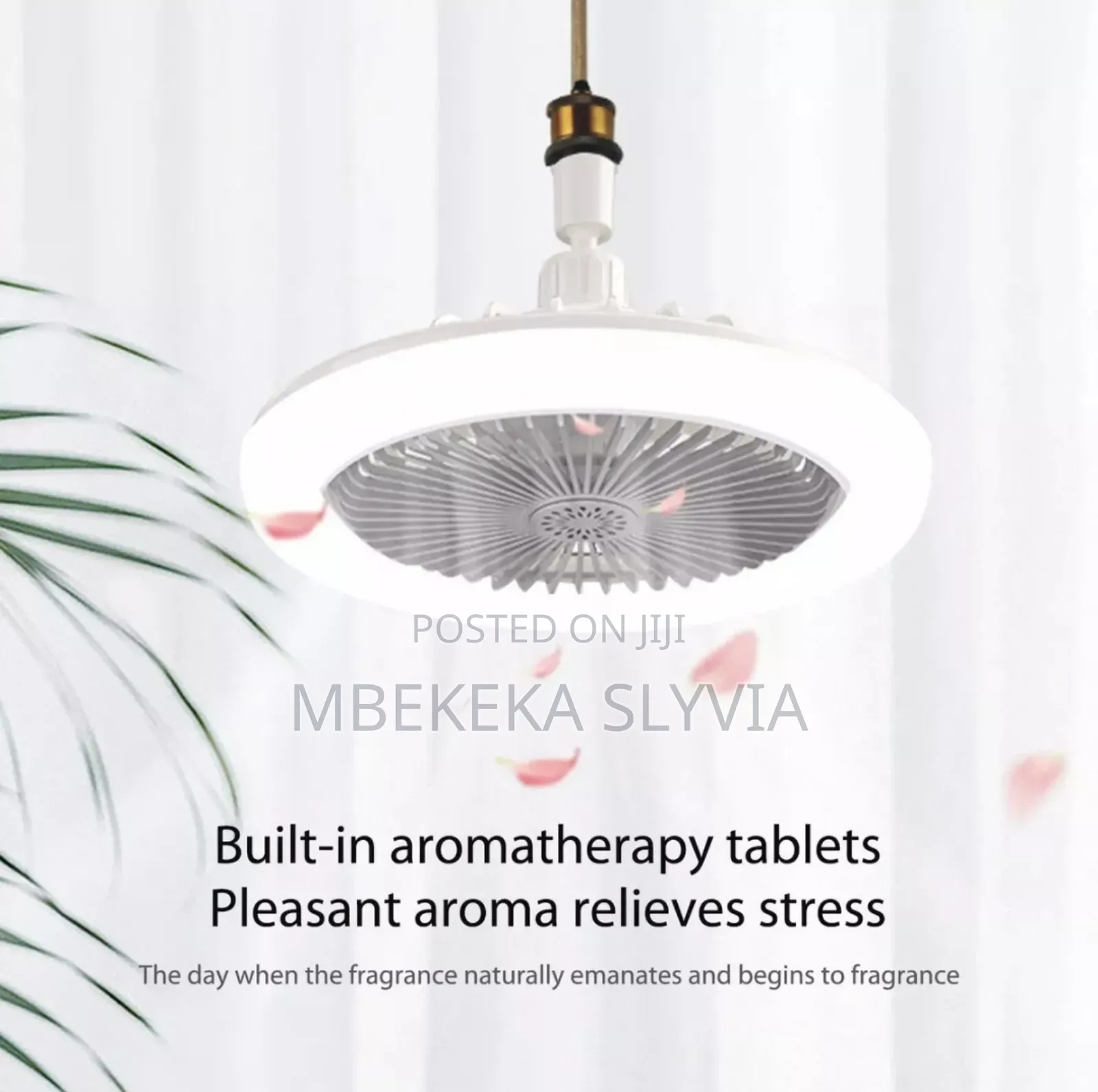 Bulb Fan/Ceiling Fan/Light Bulb With A Remote