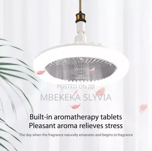 Bulb Fan/Ceiling Fan/Light Bulb With A Remote