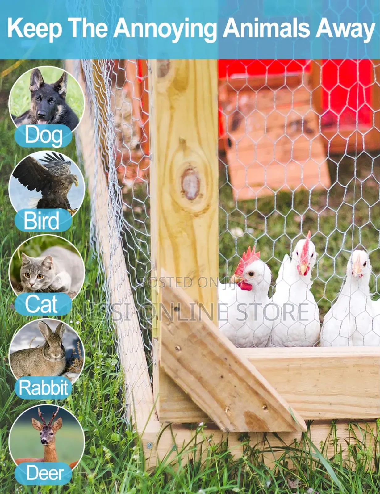 Anti Rust Galvanized Chicken Wiremesh