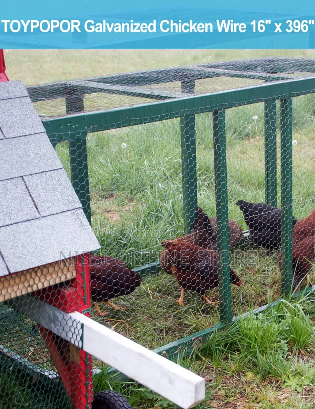 Anti Rust Galvanized Chicken Wiremesh