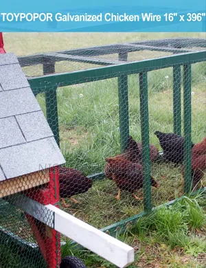 Anti Rust Galvanized Chicken Wiremesh