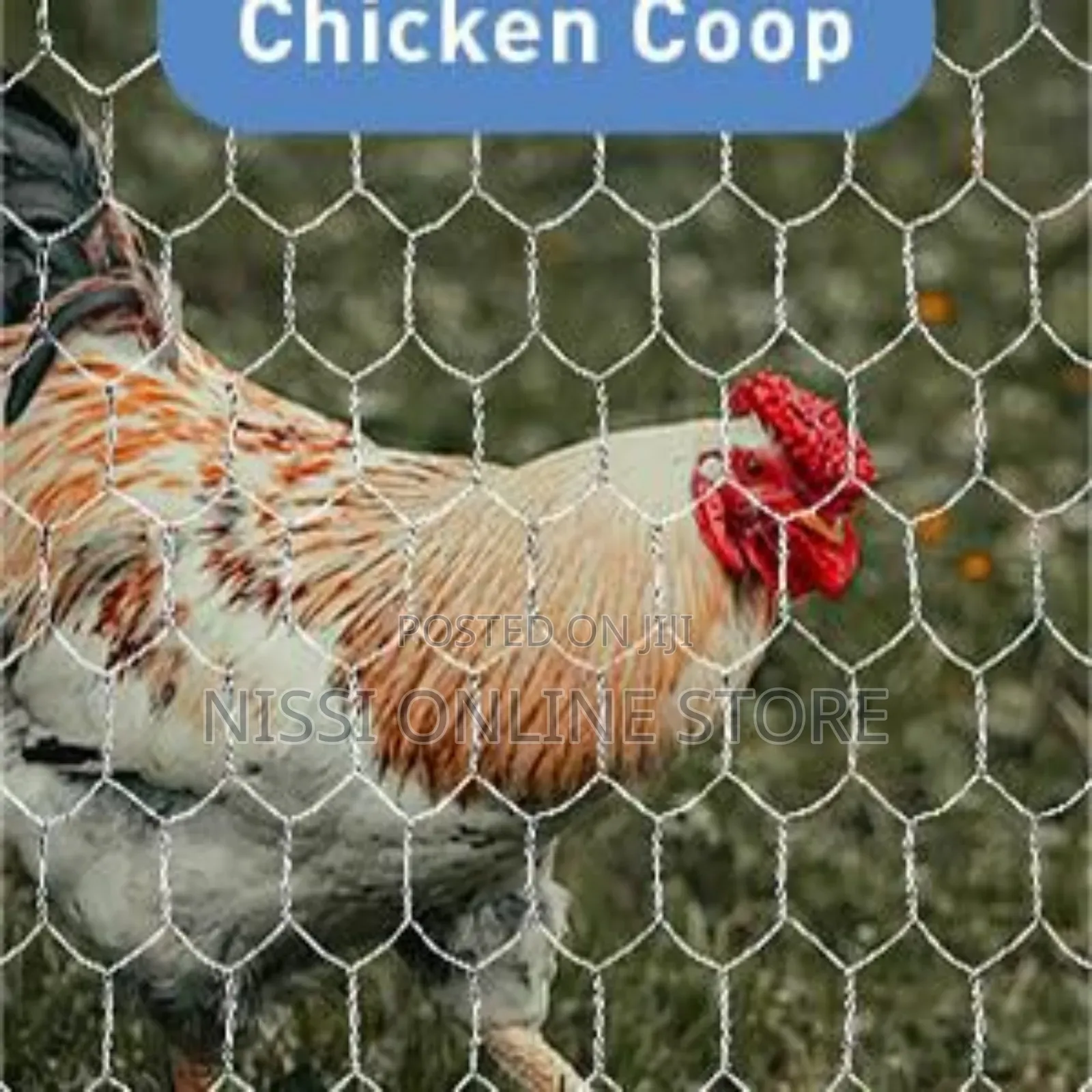 Hexagonal Garden Poultry Chicken Wiremesh