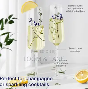 6pcs Deli Champagne Cocktail Glasses Cups 180ml
