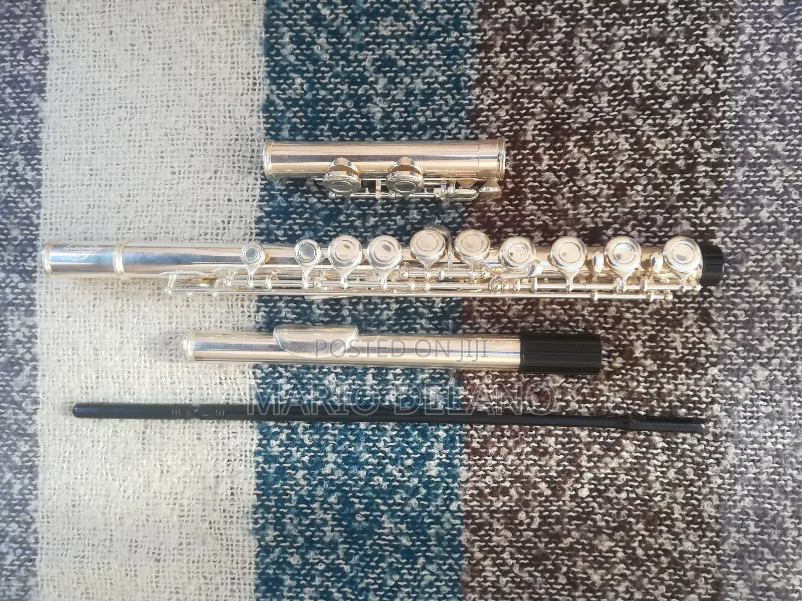 Flute (Professional Flute)