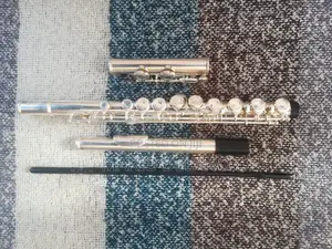 Flute (Professional Flute)