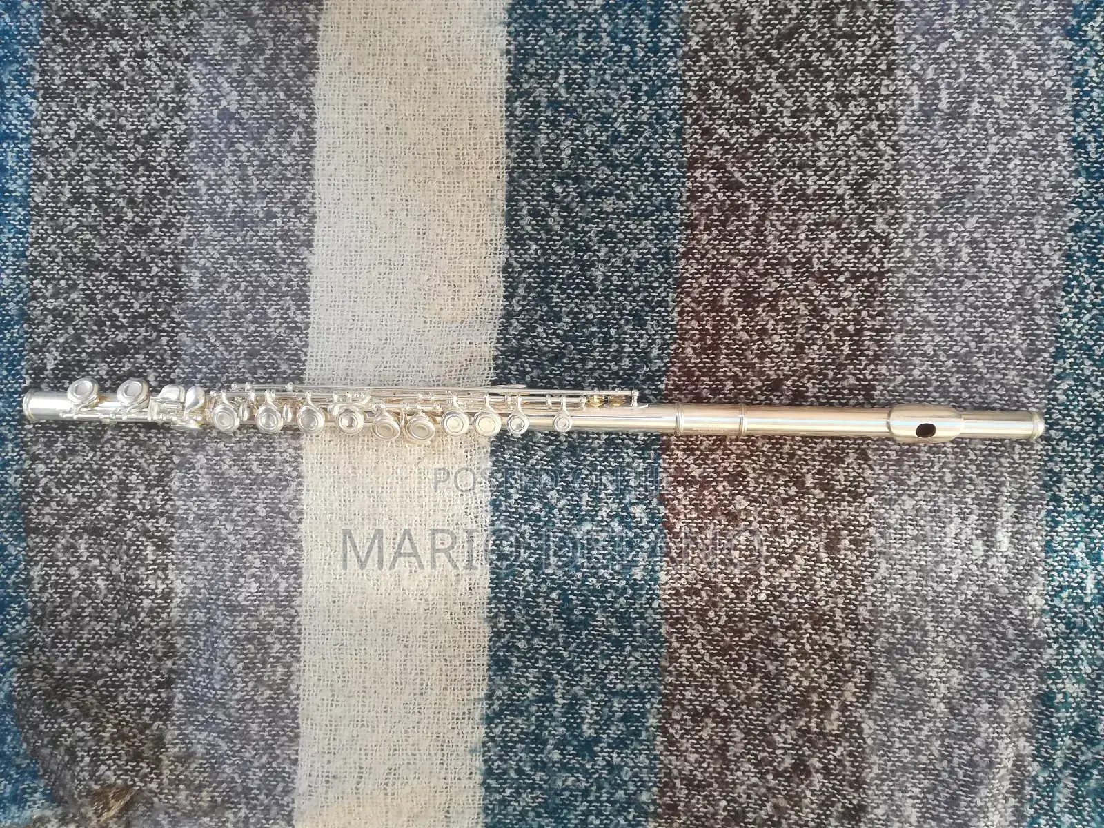 Flute (Professional Flute)