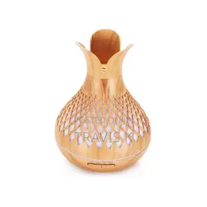 Aromatherapy Oil Diffuser