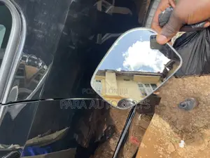 Side Mirror Plates for Rumion
