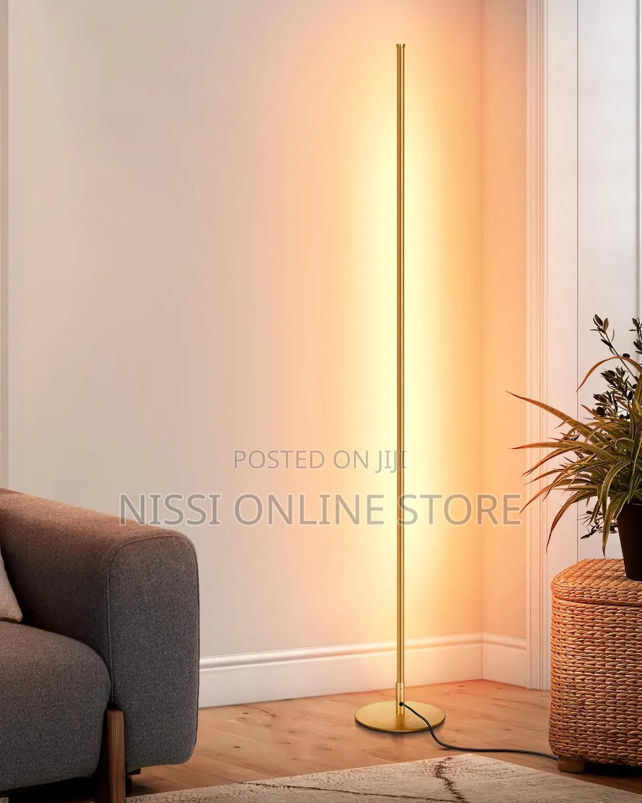 Modern Dimmable Led Floor Lamp