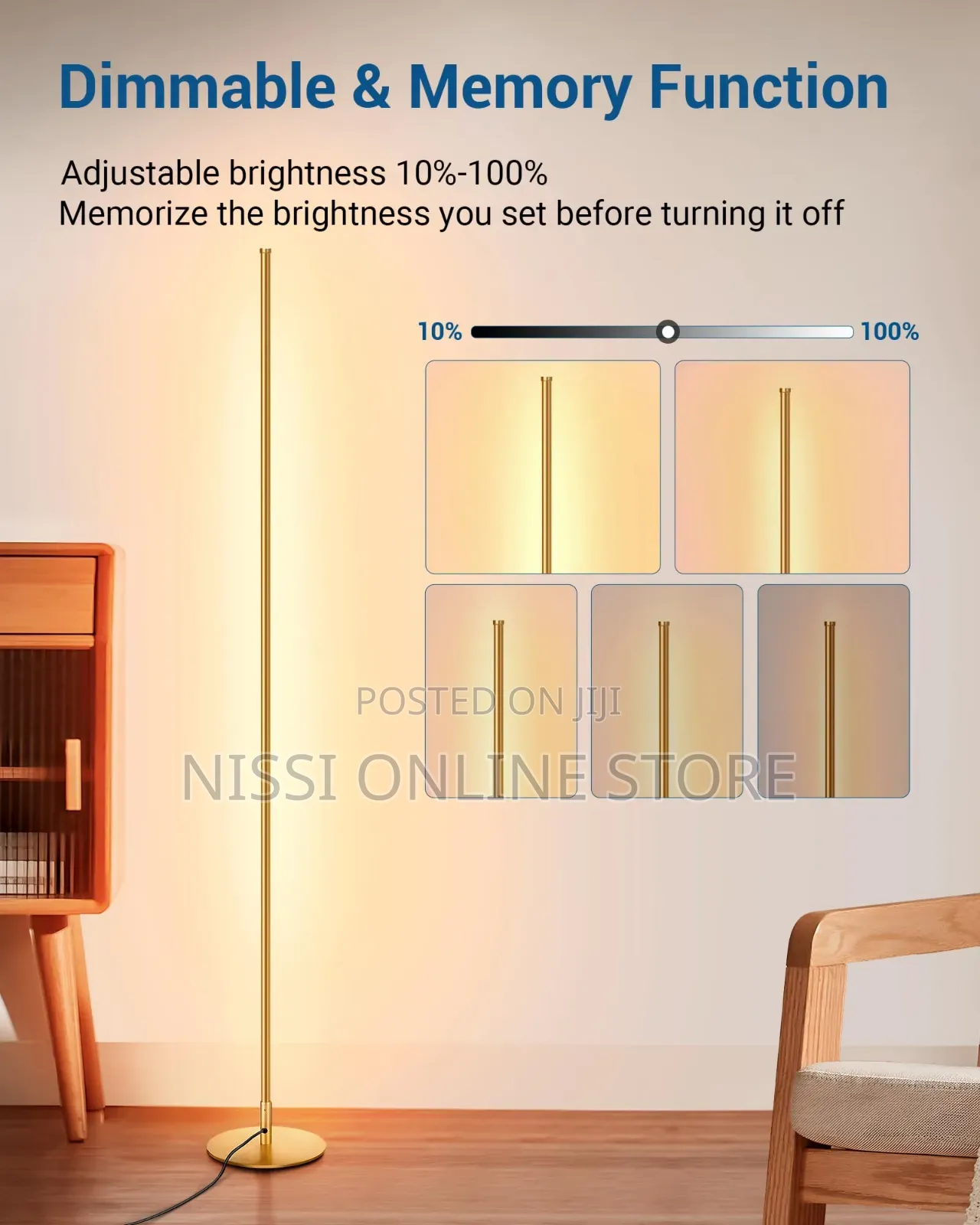 Modern Dimmable Led Floor Lamp