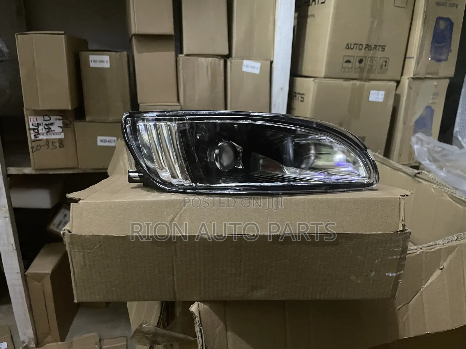 Spotlight Harrier Kawundo