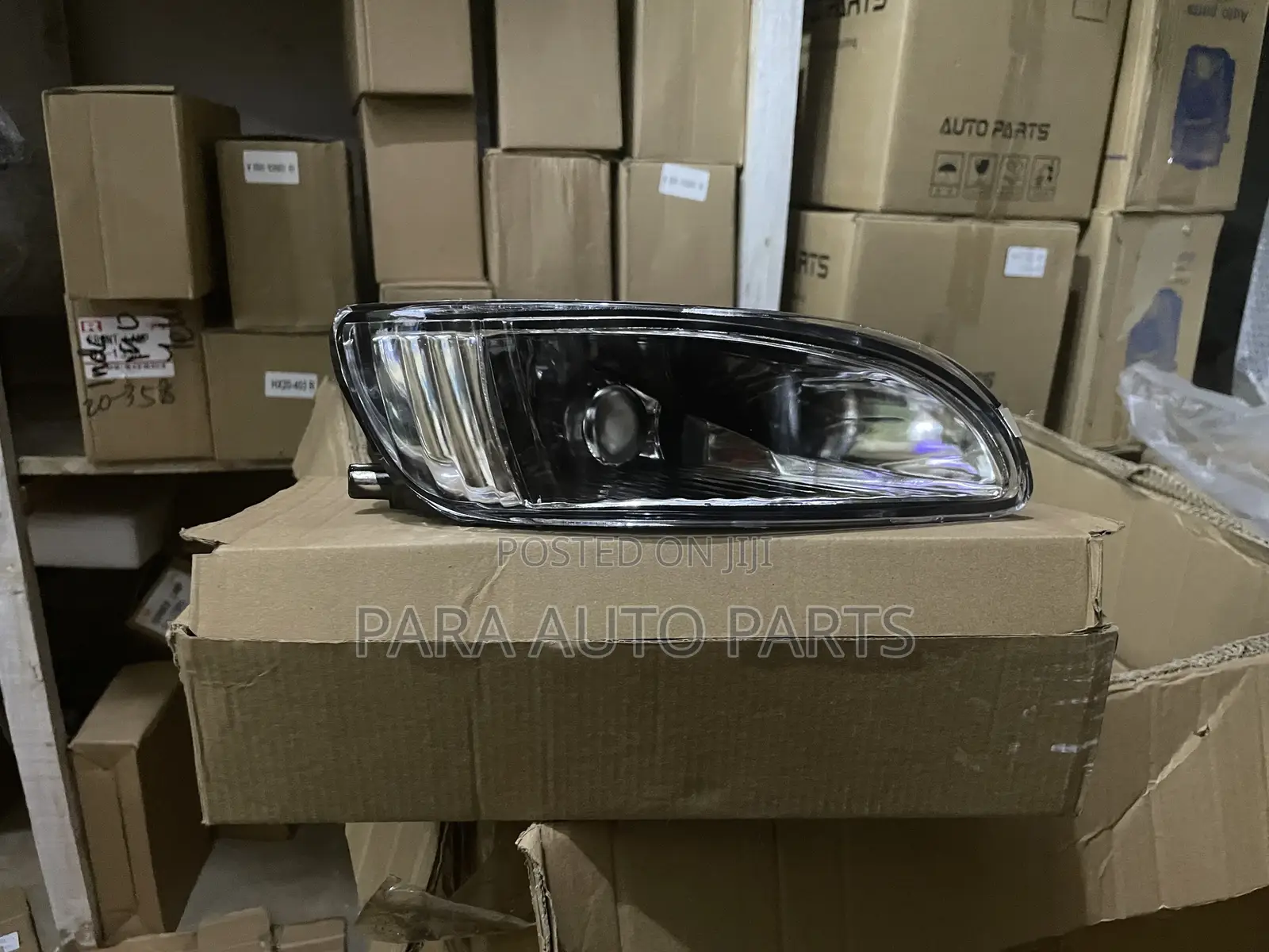 Spotlight Harrier Kawundo