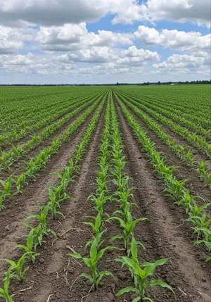 Photo - Rent or Hire Farmland in Northern Uganda